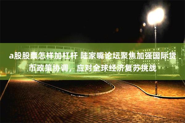 a股股票怎样加杠杆 陆家嘴论坛聚焦加强国际货币政策协调，应对全球经济复苏挑战