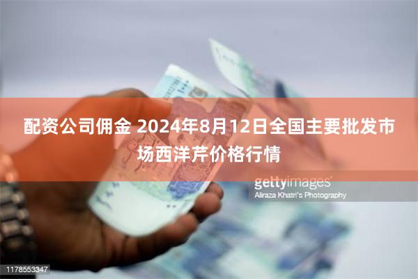 配资公司佣金 2024年8月12日全国主要批发市场西洋芹价格行情