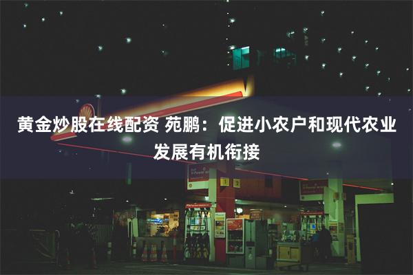 黄金炒股在线配资 苑鹏：促进小农户和现代农业发展有机衔接