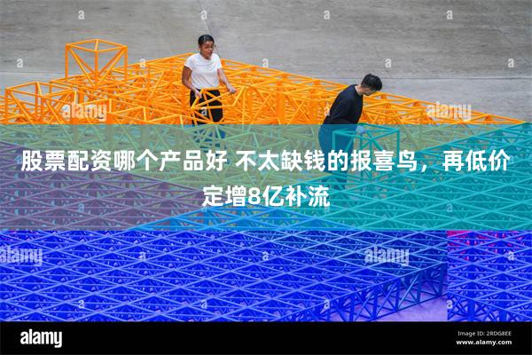 股票配资哪个产品好 不太缺钱的报喜鸟，再低价定增8亿补流