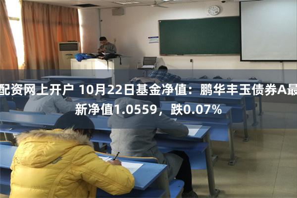 配资网上开户 10月22日基金净值：鹏华丰玉债券A最新净值1.0559，跌0.07%