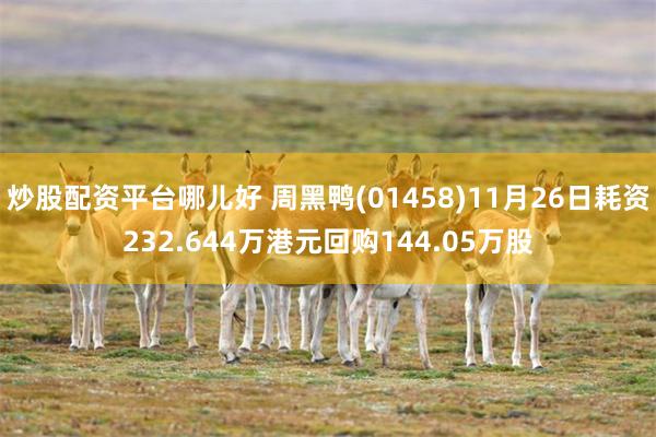 炒股配资平台哪儿好 周黑鸭(01458)11月26日耗资232.644万港元回购144.05万股