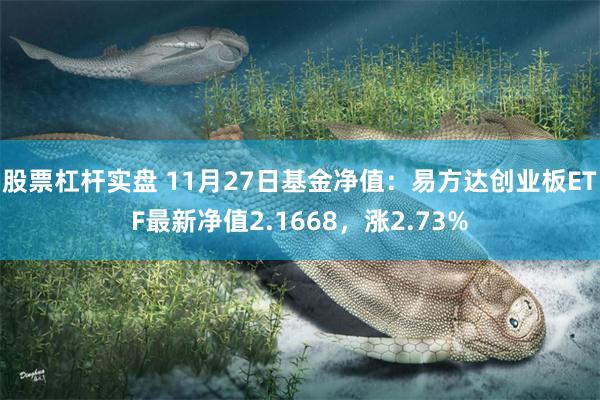 股票杠杆实盘 11月27日基金净值：易方达创业板ETF最新净值2.1668，涨2.73%