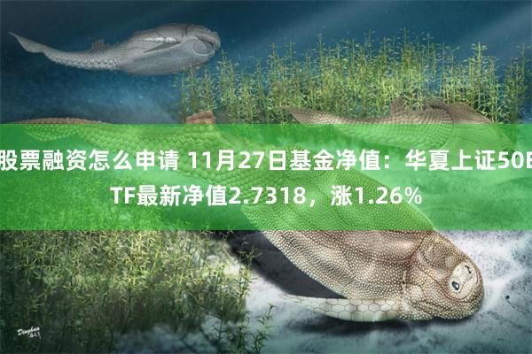 股票融资怎么申请 11月27日基金净值：华夏上证50ETF最新净值2.7318，涨1.26%