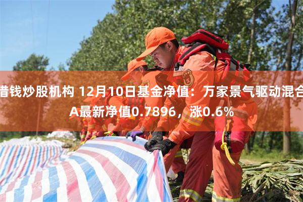 借钱炒股机构 12月10日基金净值：万家景气驱动混合A最新净值0.7896，涨0.6%