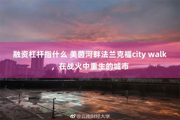 融资杠杆指什么 美茵河畔法兰克福city walk，在战火中重生的城市