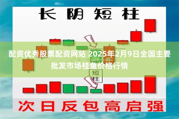 配资优秀股票配资网站 2025年2月9日全国主要批发市场桂鱼价格行情